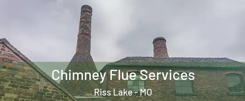 Chimney Flue Services Riss Lake - MO