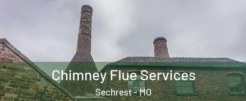 Chimney Flue Services Sechrest - MO