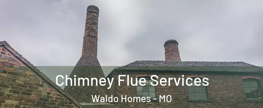 Chimney Flue Services Waldo Homes - MO