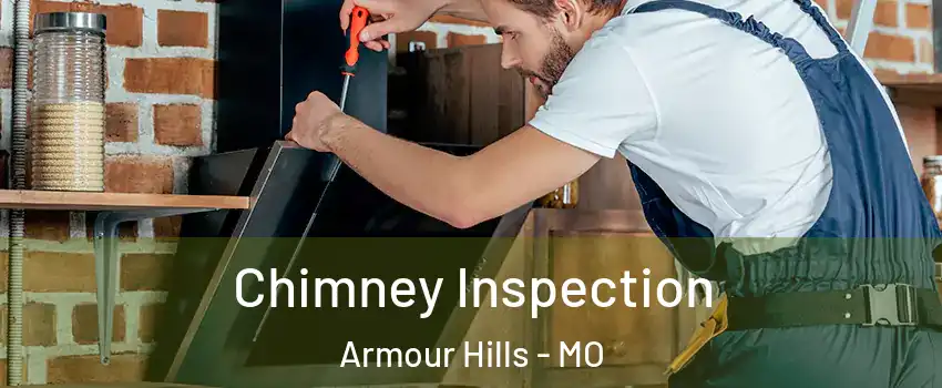 Chimney Inspection Armour Hills - MO