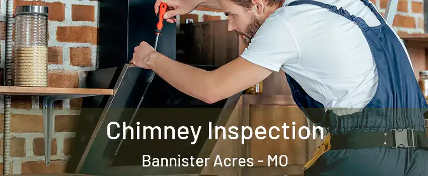 Chimney Inspection Bannister Acres - MO