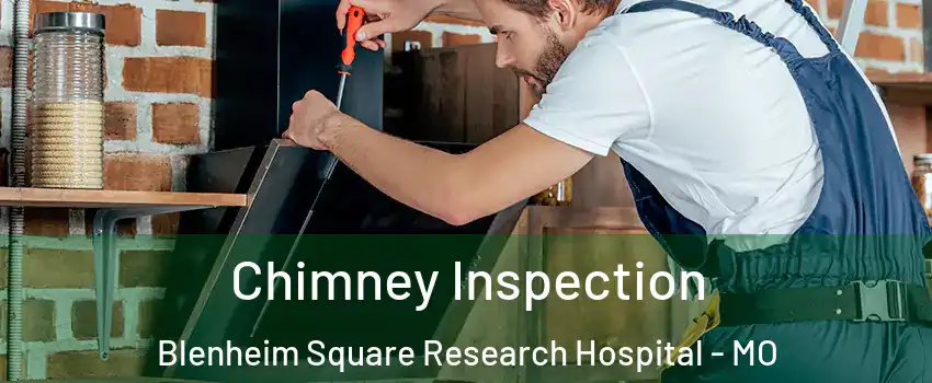 Chimney Inspection Blenheim Square Research Hospital - MO