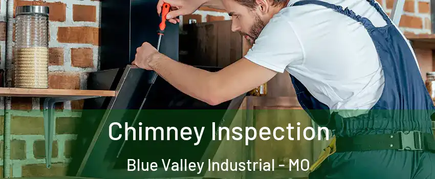 Chimney Inspection Blue Valley Industrial - MO