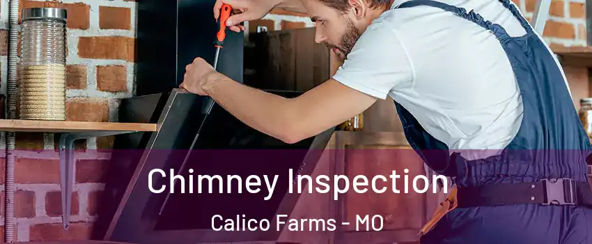 Chimney Inspection Calico Farms - MO