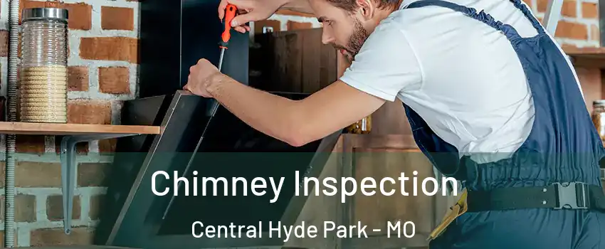 Chimney Inspection Central Hyde Park - MO