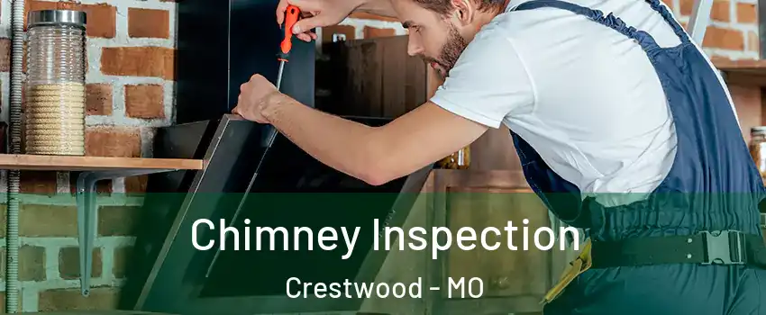 Chimney Inspection Crestwood - MO