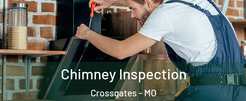 Chimney Inspection Crossgates - MO