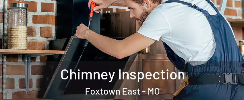 Chimney Inspection Foxtown East - MO