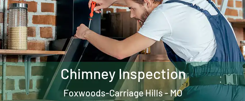 Chimney Inspection Foxwoods-Carriage Hills - MO