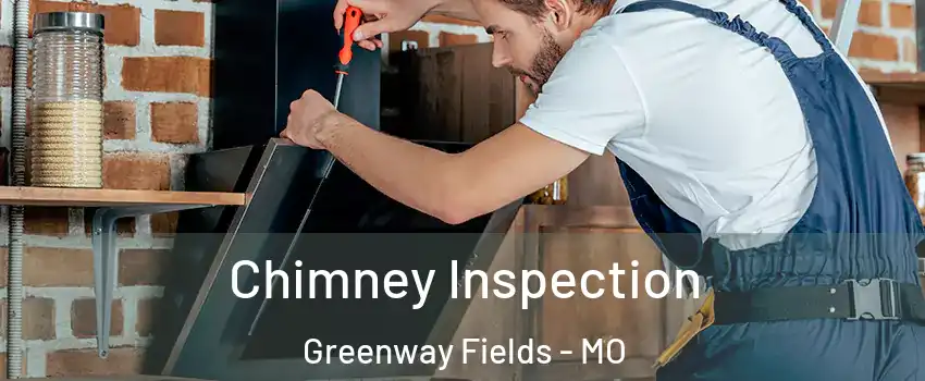 Chimney Inspection Greenway Fields - MO