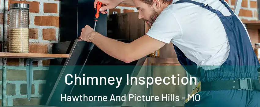 Chimney Inspection Hawthorne And Picture Hills - MO