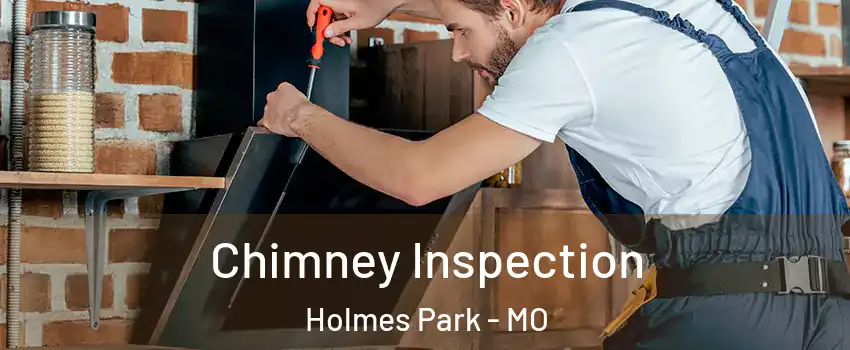 Chimney Inspection Holmes Park - MO