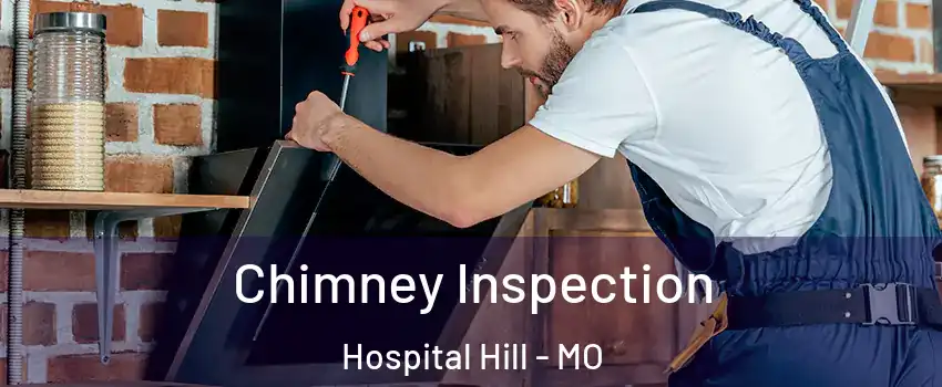 Chimney Inspection Hospital Hill - MO