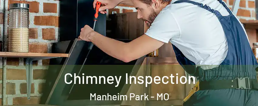 Chimney Inspection Manheim Park - MO