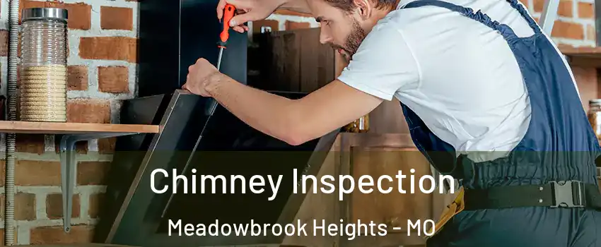 Chimney Inspection Meadowbrook Heights - MO