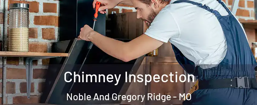 Chimney Inspection Noble And Gregory Ridge - MO