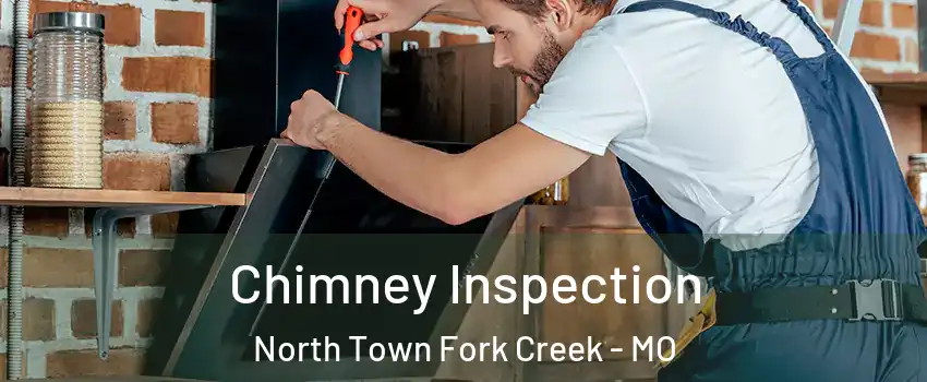 Chimney Inspection North Town Fork Creek - MO