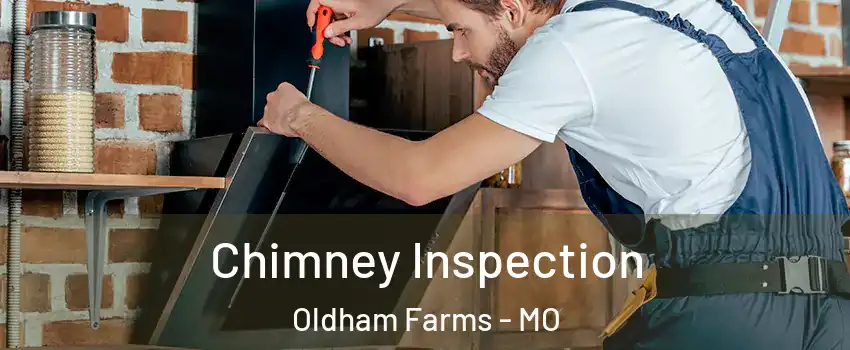 Chimney Inspection Oldham Farms - MO