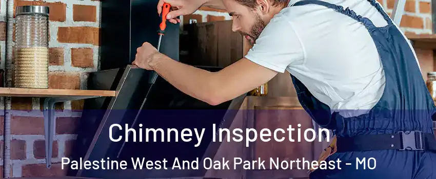 Chimney Inspection Palestine West And Oak Park Northeast - MO