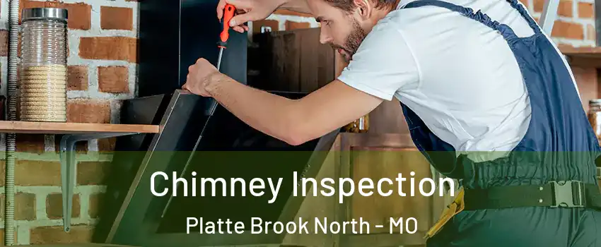 Chimney Inspection Platte Brook North - MO