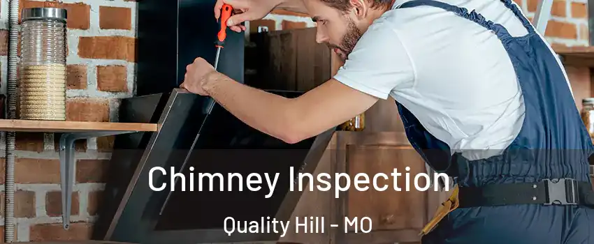 Chimney Inspection Quality Hill - MO