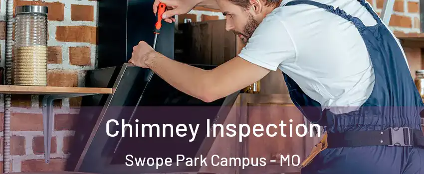 Chimney Inspection Swope Park Campus - MO