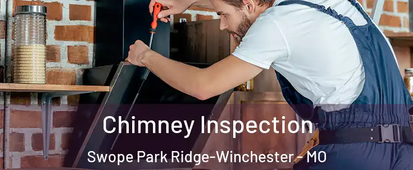 Chimney Inspection Swope Park Ridge-Winchester - MO