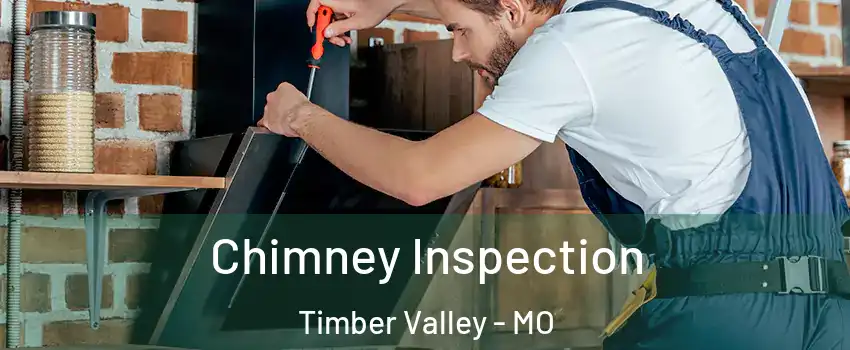 Chimney Inspection Timber Valley - MO