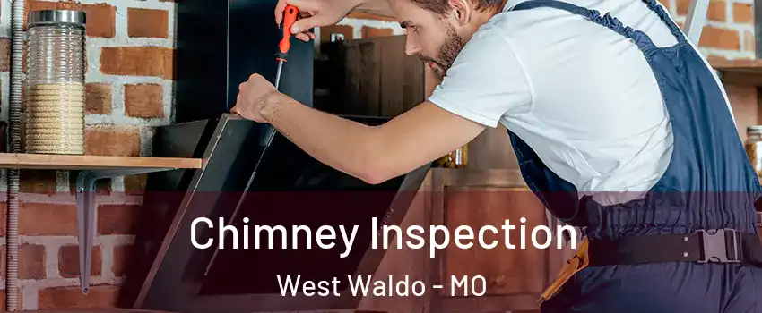 Chimney Inspection West Waldo - MO