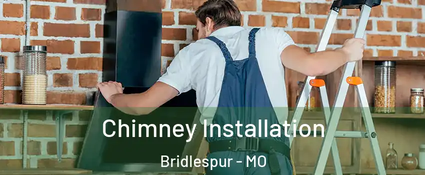 Chimney Installation Bridlespur - MO