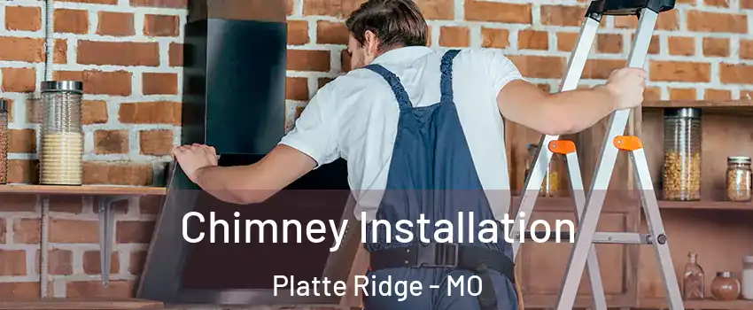 Chimney Installation Platte Ridge - MO