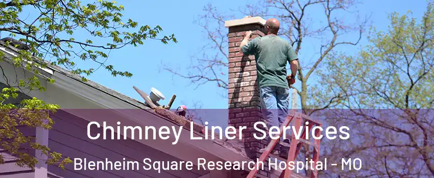 Chimney Liner Services Blenheim Square Research Hospital - MO