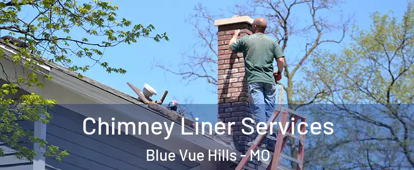 Chimney Liner Services Blue Vue Hills - MO