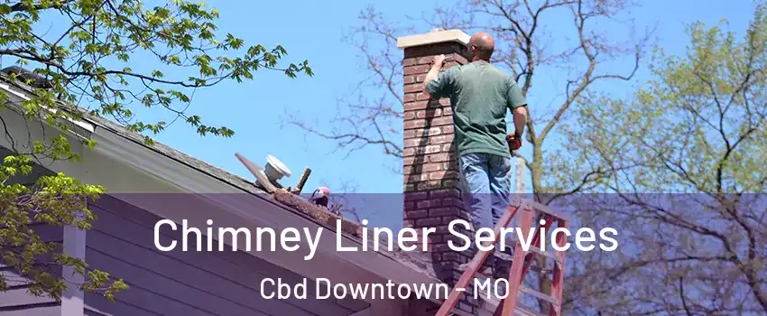 Chimney Liner Services Cbd Downtown - MO