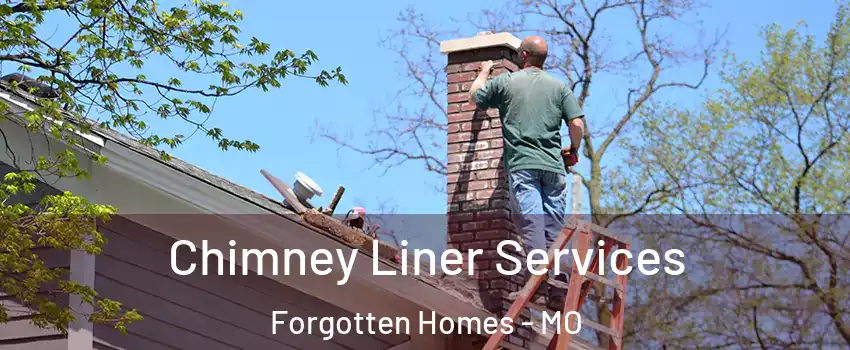 Chimney Liner Services Forgotten Homes - MO