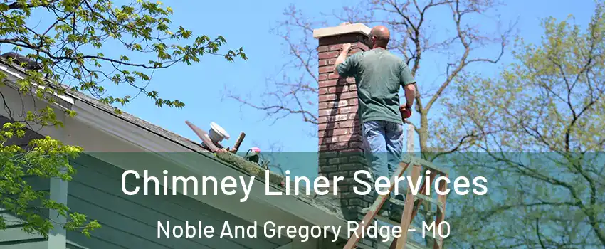 Chimney Liner Services Noble And Gregory Ridge - MO