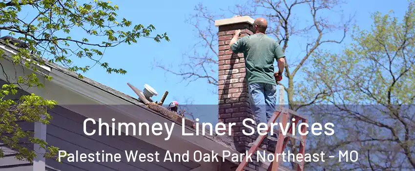 Chimney Liner Services Palestine West And Oak Park Northeast - MO