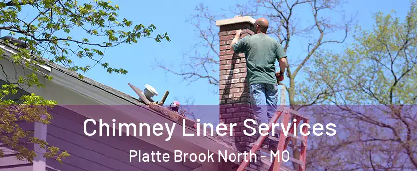 Chimney Liner Services Platte Brook North - MO