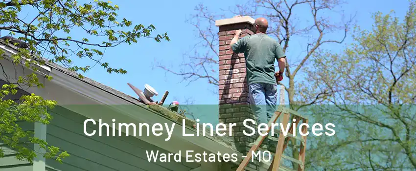 Chimney Liner Services Ward Estates - MO