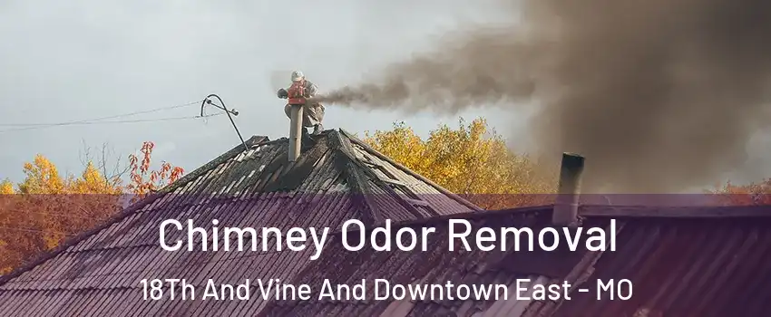 Chimney Odor Removal 18Th And Vine And Downtown East - MO