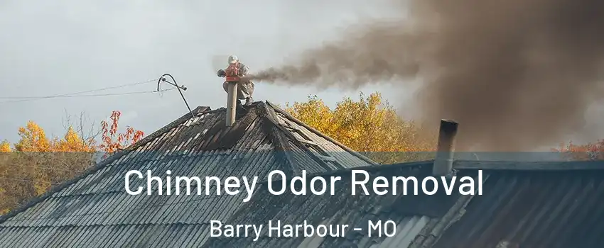 Chimney Odor Removal Barry Harbour - MO