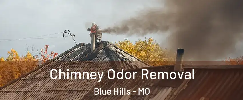 Chimney Odor Removal Blue Hills - MO