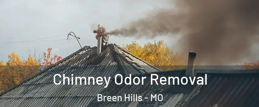 Chimney Odor Removal Breen Hills - MO