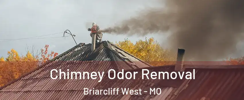 Chimney Odor Removal Briarcliff West - MO