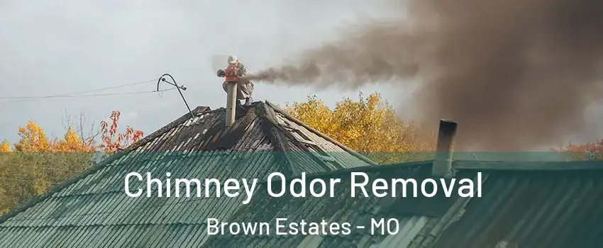 Chimney Odor Removal Brown Estates - MO