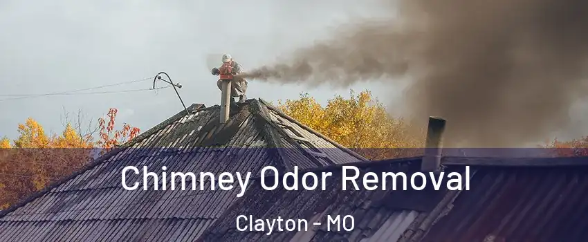 Chimney Odor Removal Clayton - MO