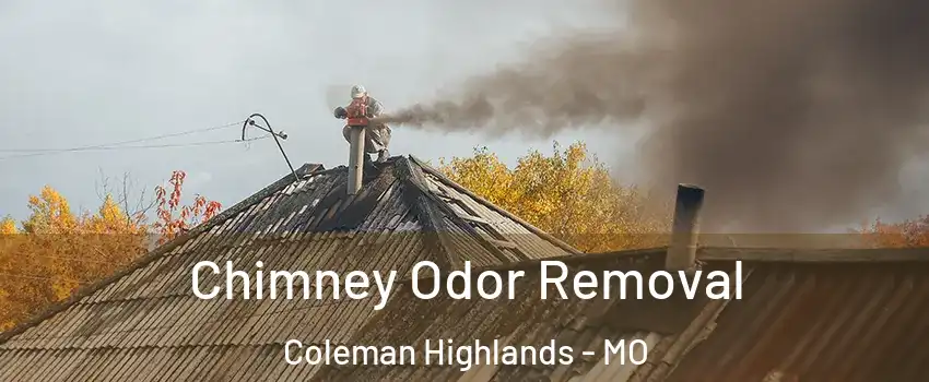 Chimney Odor Removal Coleman Highlands - MO