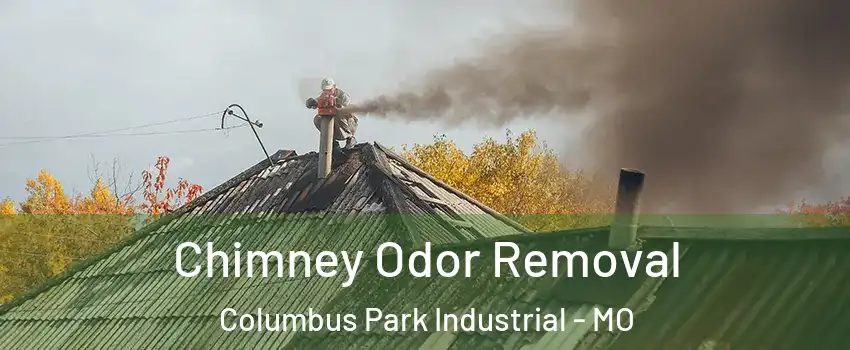 Chimney Odor Removal Columbus Park Industrial - MO