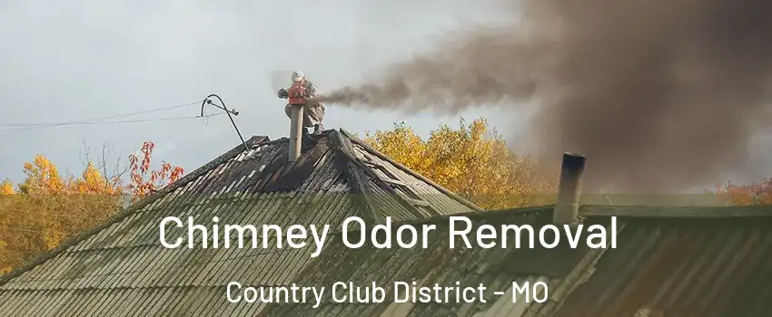 Chimney Odor Removal Country Club District - MO