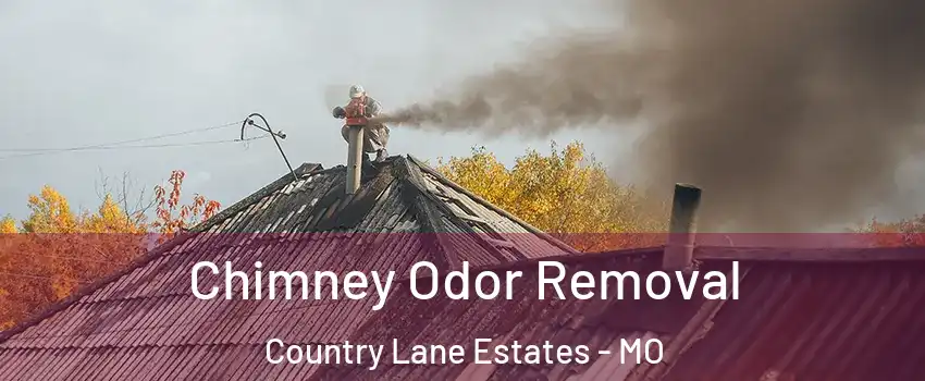 Chimney Odor Removal Country Lane Estates - MO